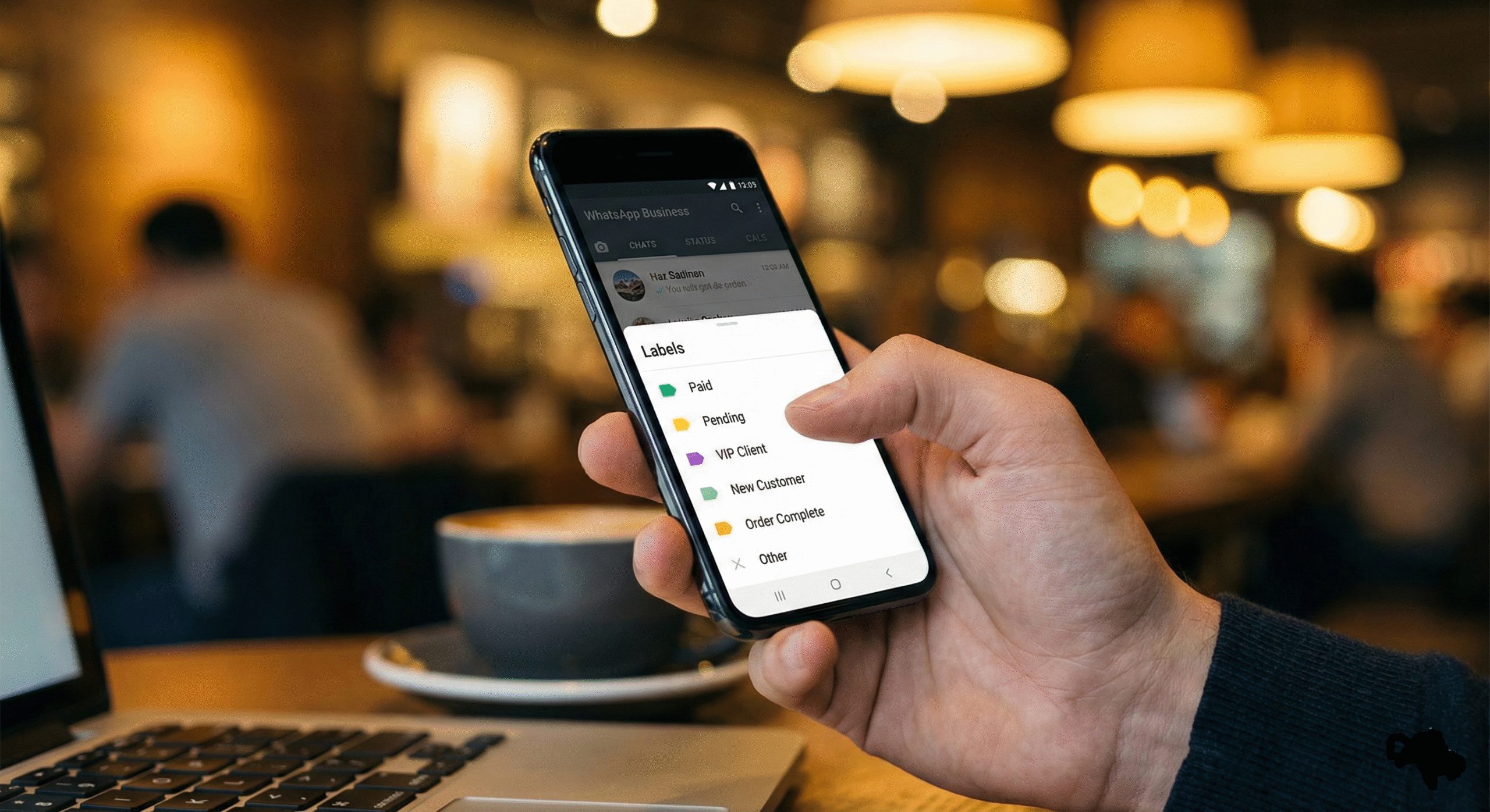 The Silent Giant – A Complete Guide to WhatsApp